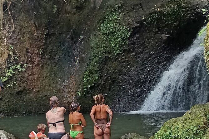 Tetebatu Guided Tour in Rice Terraces Waterfall and Monkey Forest - Authentic Insights from Reviewers