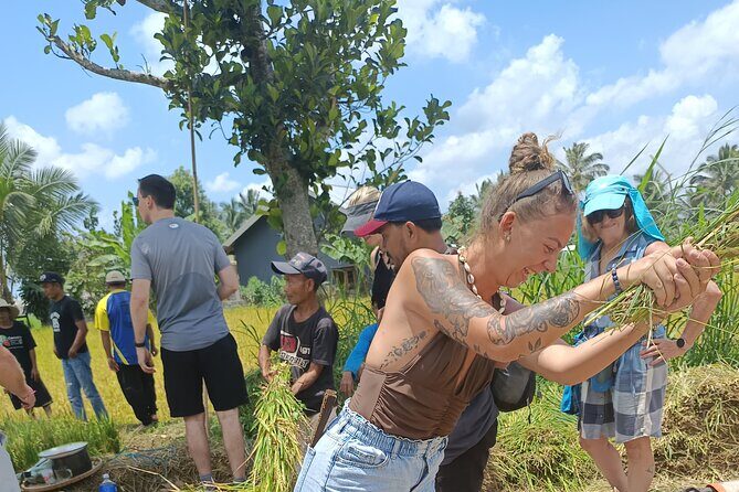 Tetebatu Guided Tour in Rice Terraces Waterfall and Monkey Forest - Final Thoughts