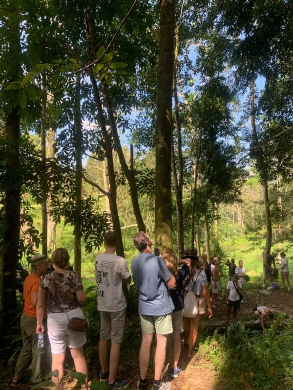 Tetebatu: Jungle, Waterfall, and Village Tour - Good To Know