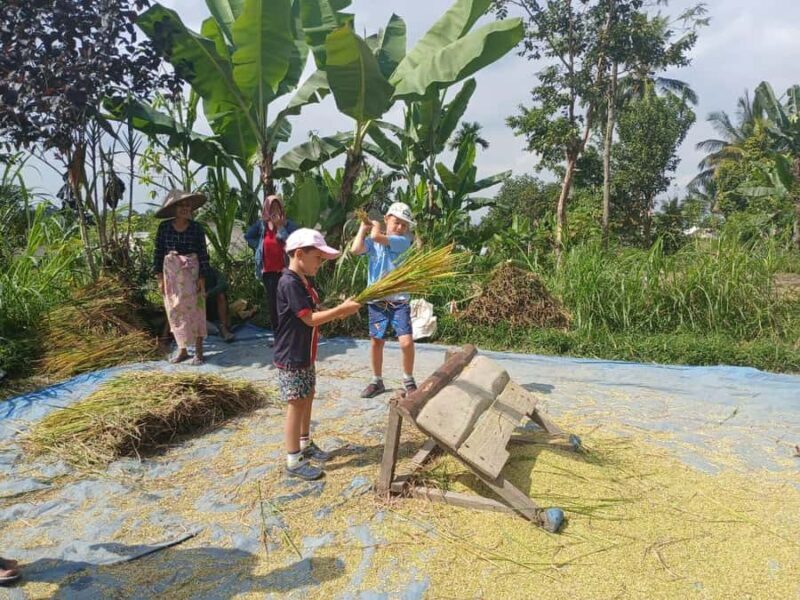 Tetebatu Panorama Walk: Rice Fields, Waterfall & Monkeys - An In-Depth Look at the Experience