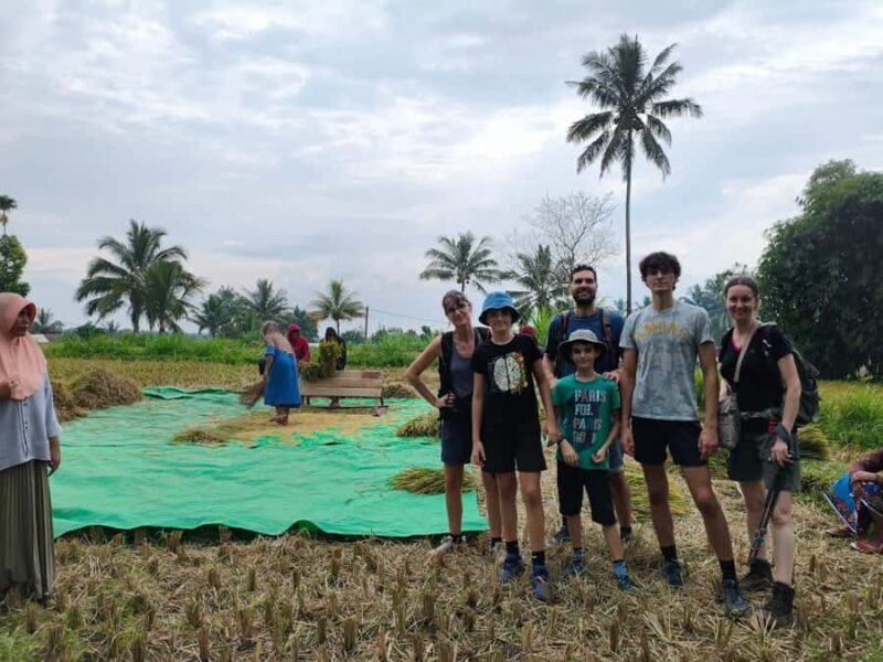 Tetebatu Panorama Walk: Rice Fields, Waterfall & Monkeys - FAQs