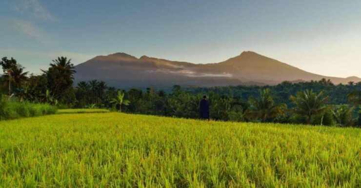 Tetebatu Panorama Walking Tour - Tour Highlights