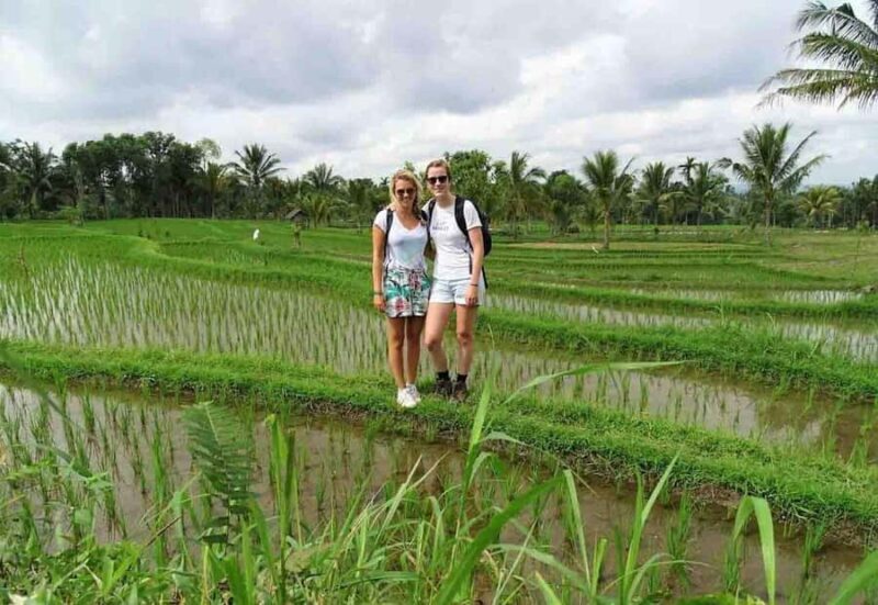 Tetebatu: Rice Fields, Villages, and Waterfalls Tour - Exploring the Richness of Tetebatu in a Single Day