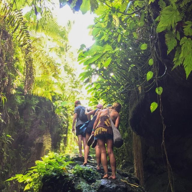 Tetebatu: Rice Fields, Waterfall, & Monkey Forest Day Tour - Additional Information