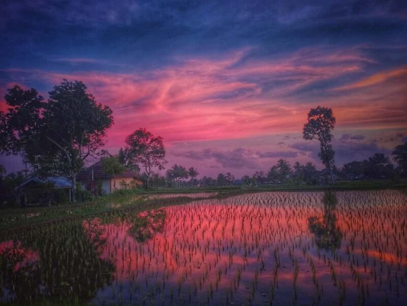 Tetebatu : Ricefield tour,waterfall and monkey forest - The Hidden Waterfall