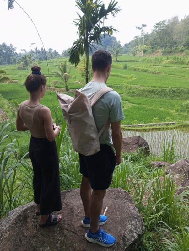 Tetebatu & Ricefield, Waterfall, Monkey forest. - An In-Depth Look at the Tour