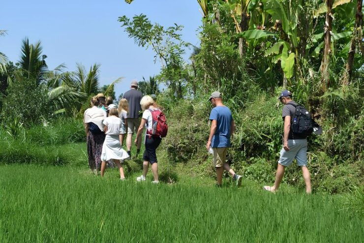 Tetebatu Tour : Rice Terraces, Waterfall & Monkey Forest - Tour Highlights in Tetebatu