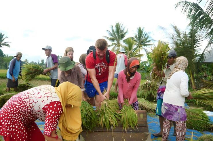 Tetebatu Tour : Rice Terraces, Waterfall & Monkey Forest - Tour Itinerary Details