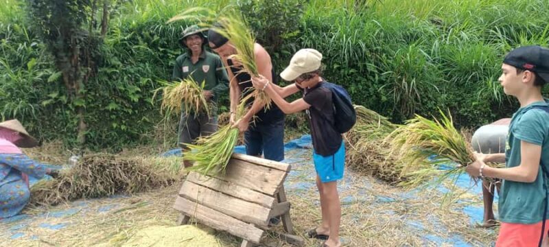 Tetebatu: Waterfalls, Spices, Rice Terrace, Monkey forest - The Breakdown of Your Tetebatu Adventure