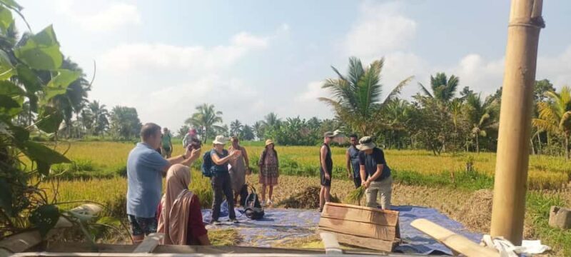 Tetebatu: Waterfalls, Spices, Rice Terrace, Monkey forest - Who Will Love This Tour?