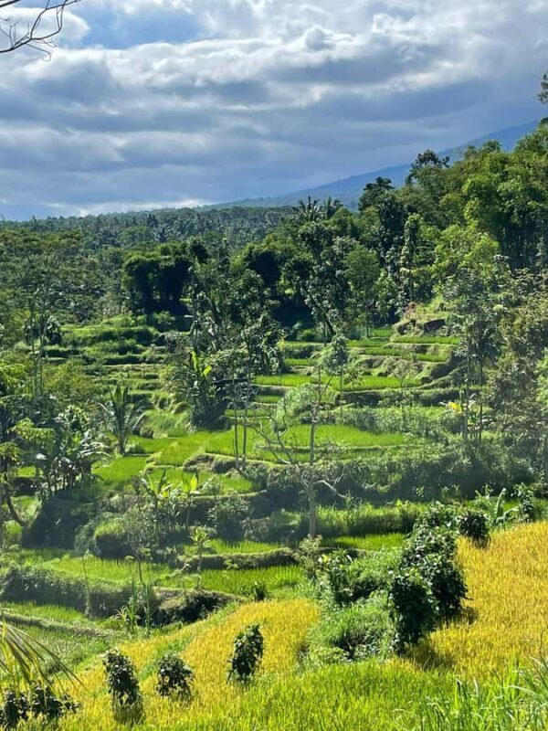 Tetebatu: Waterfalls, Spices, Rice Terrace, Monkey forest - FAQs