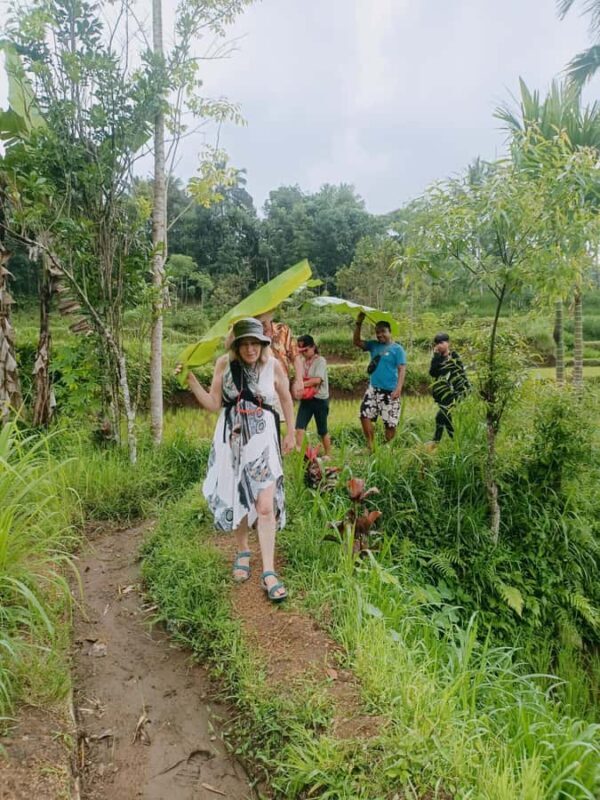 Tetebatu: Waterfalls, Spices, Rice Terrace, Monkey forest - Final Thoughts