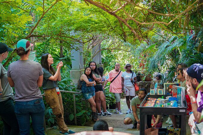 Texas Discovery Gardens General Admission - Good To Know