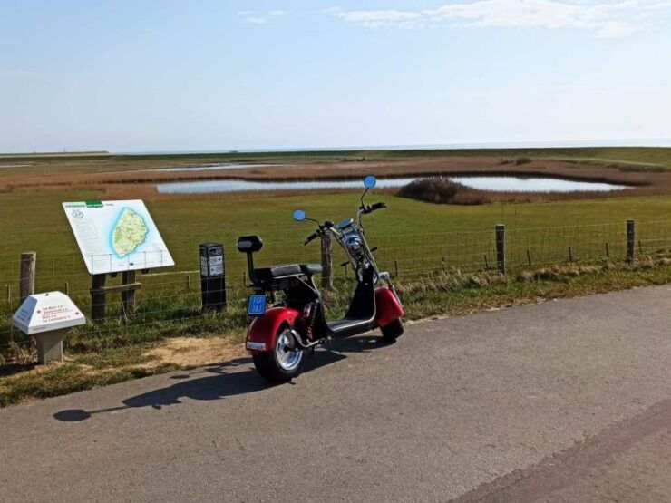 Texel: E-Scooter Rental - Benefits of E-Scooter Rental