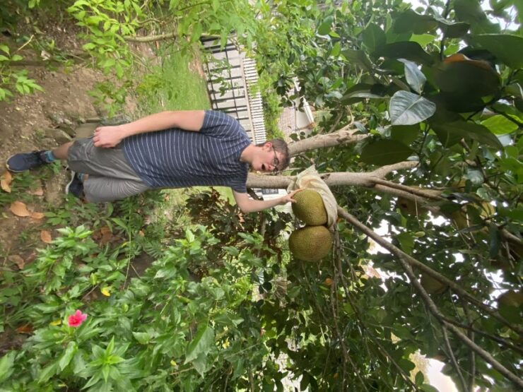 Thai Cooking Class With Market Tour and Fruit Tasting - Activity Details