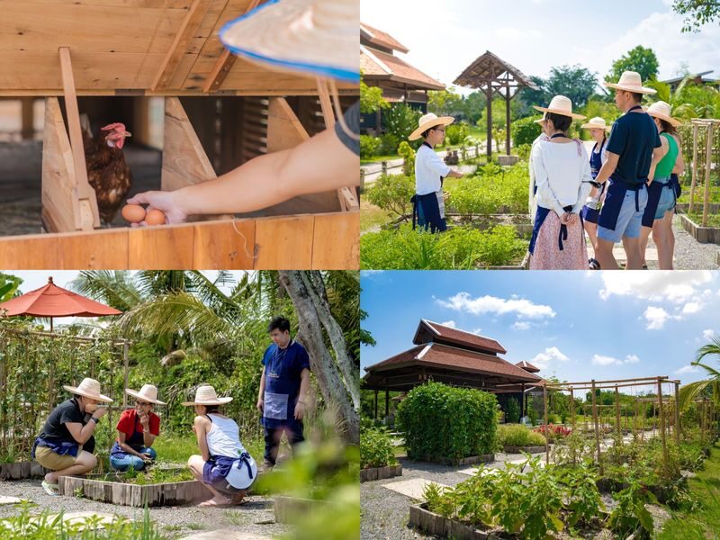 Thai Cooking Classes by Grandmas Home Cooking School - Half-day, full-day and Northern Thai choices