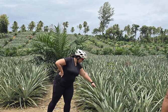 Thai Mueang Beach and Waterfall Eco Bike Relax Tour from Khao Lak - Final Thoughts: Is This Tour for You?