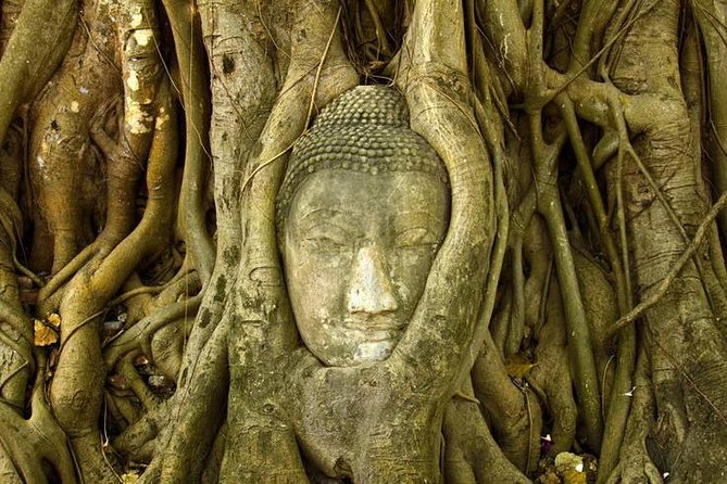 Thailand Discovery 6 Night 7 Day (Private Trip) - Common Questions