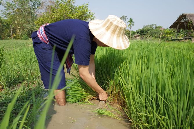 Thailand Experiences and Adventures (9 Days) - Day 4: Island Hopping in Phuket