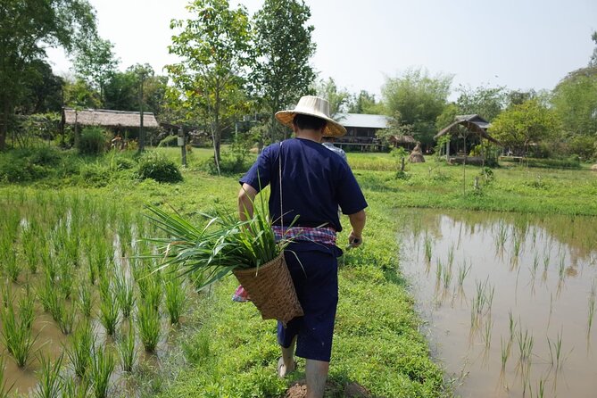 Thailand Experiences and Adventures (9 Days) - Day 6: Jungle Trekking in Khao Sok National Park
