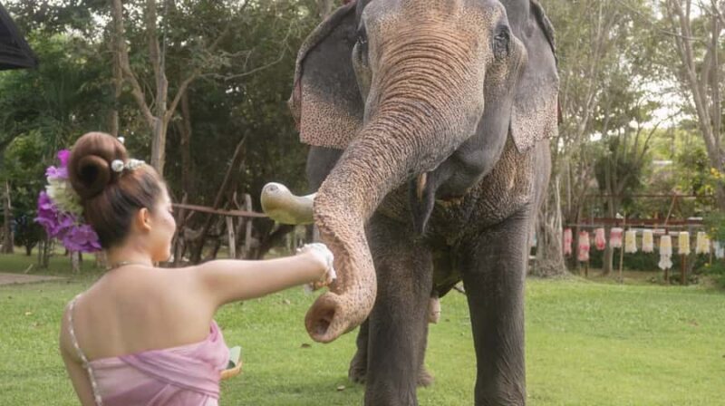 Thaithani Cultural Village & Elephant Pattaya - Practical tips to enhance your visit