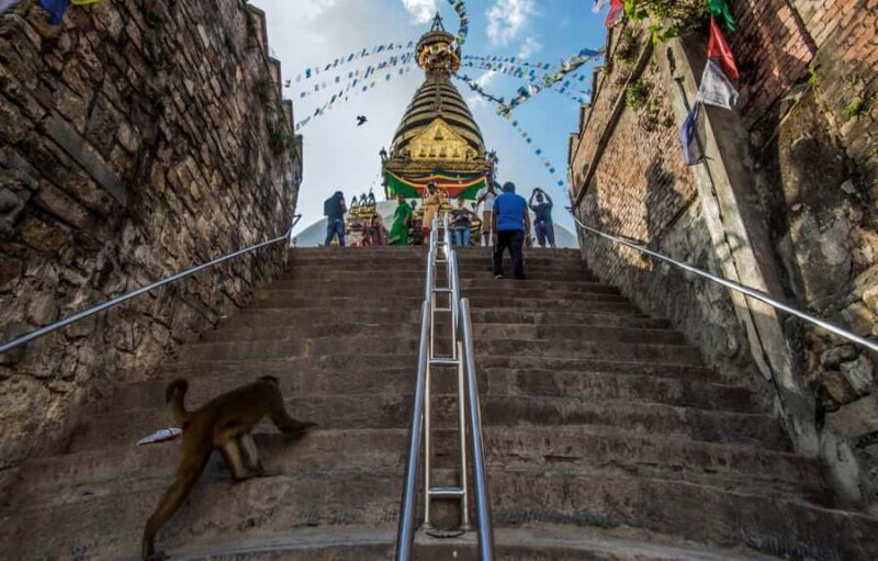 Thamel and Swayambhunath (Monkey Temple) Walking Tour - Who Should Consider This Tour?