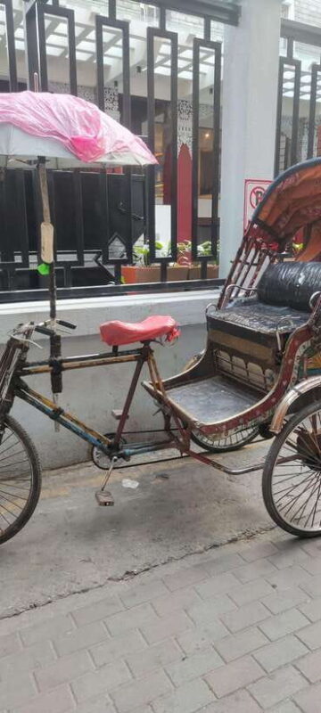 Thamel Rickshaw Tour - Who Is This Tour Best For?