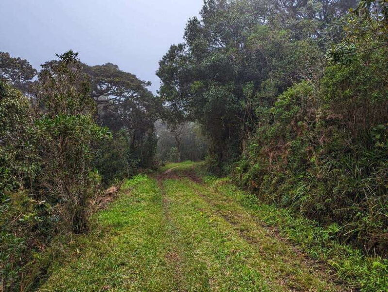 Thangappuwa Falls: Explore One of Knuckles 7 Cascades - The Itinerary Breakdown: What to Expect