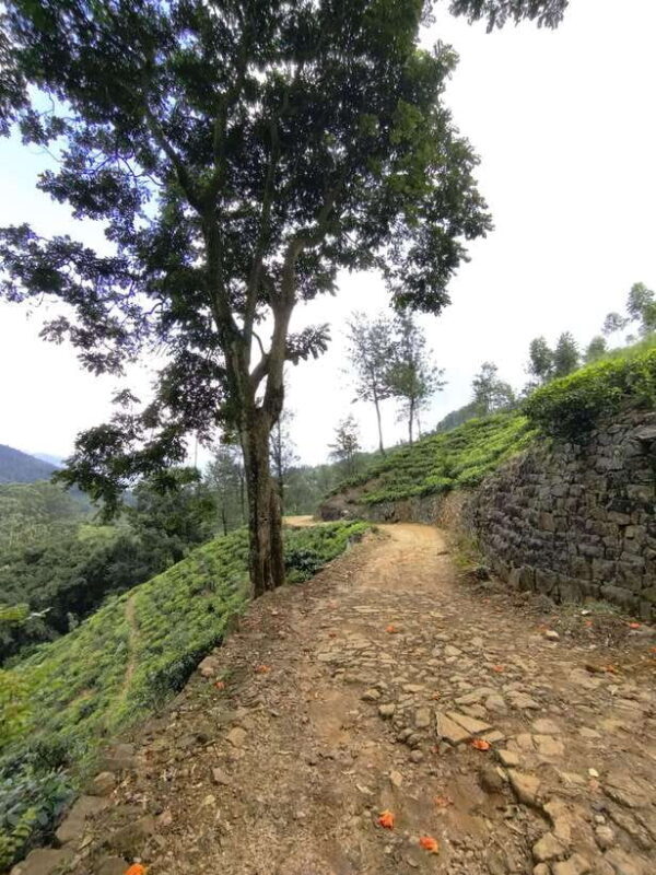 Thangappuwa Falls: Explore One of Knuckles 7 Cascades - Final Thoughts