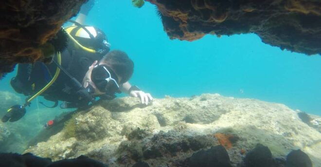 Thasos: Introductory Scuba Diving Expereince - Pickup Locations