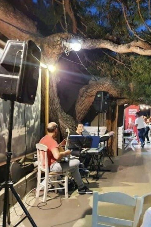 Thassos: Greek Night Experience & Festive Dinner With Wine - Good To Know