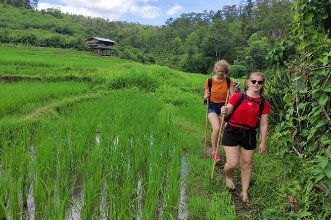 The 2 Day Karen Homestay Experience - The Sum Up