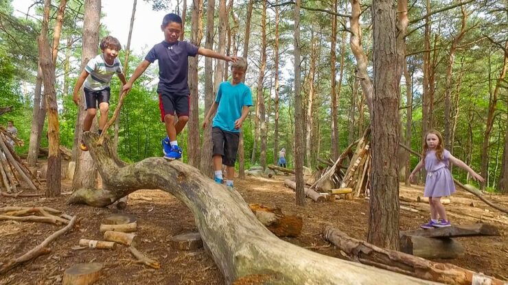 The Adirondacks: The Wild Center Admission Ticket - Good To Know