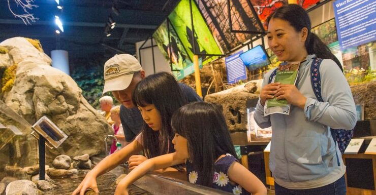 The Adirondacks: The Wild Center Admission Ticket - Experience Highlights