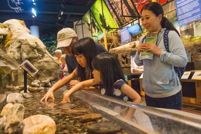 The Adirondacks: The Wild Center Admission Ticket - Accessibility and Visitor Information