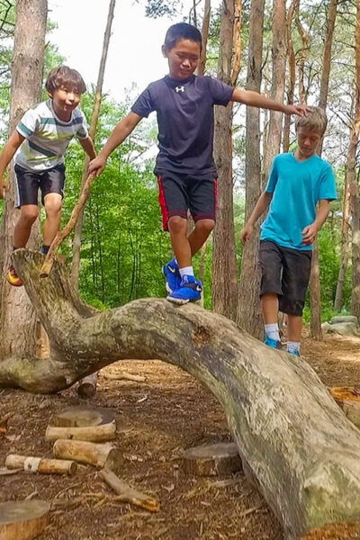 The Adirondacks: The Wild Center Admission Ticket - Special Events and Museum Store