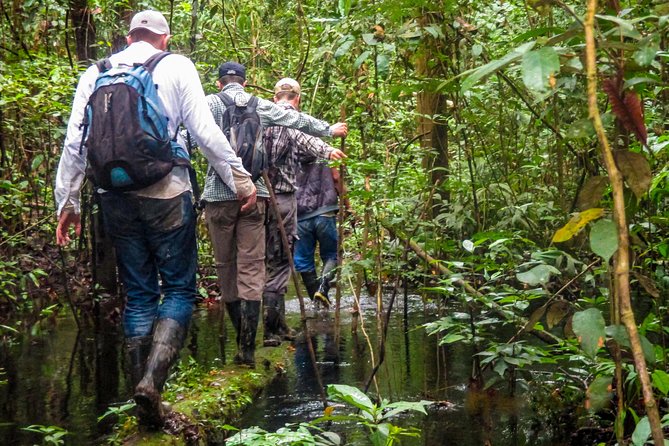 The Adventure Begins Here - Unforgettable Encounters With Wildlife