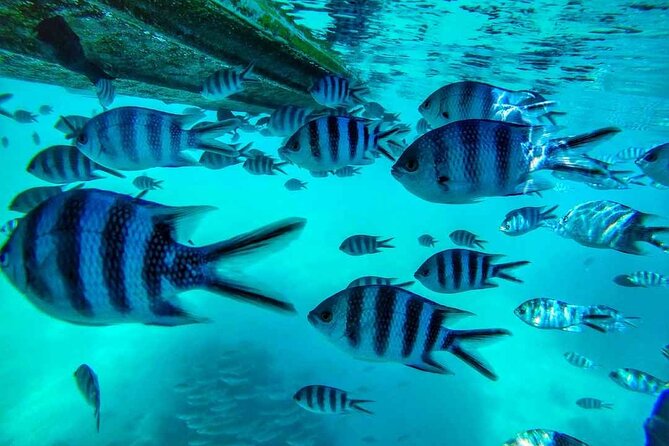 The Adventure East of Mauritius: 3-Watersport Activities & Blue-Bay Marine Park - Directions and Recommendations