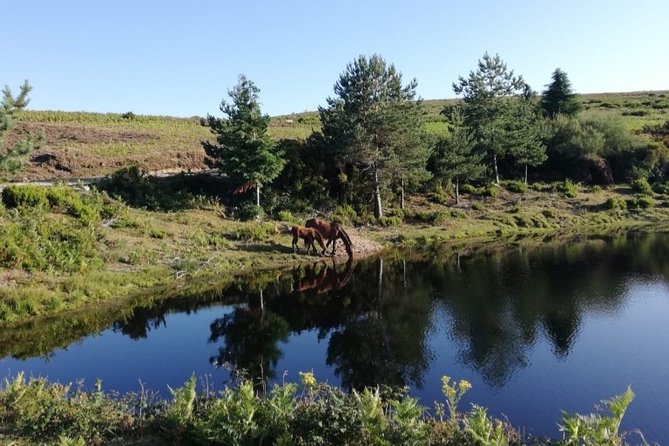 The Adventure National Parc Peneda-Gerês - Best Time to Visit