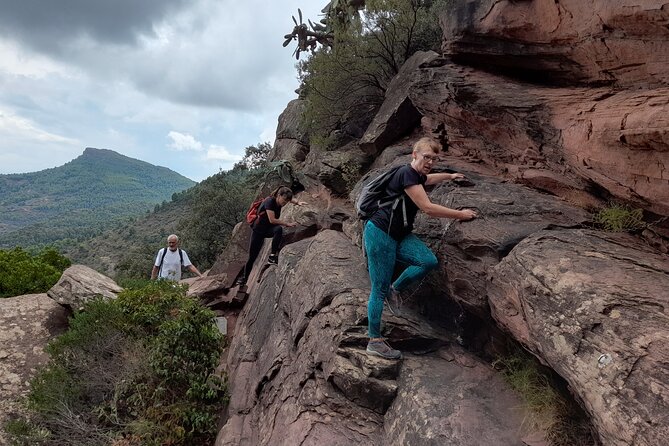 The Adventurous Route to Mirador Del Garbí - Hiking Through Lush Forests