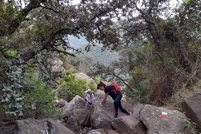 The Adventurous Route to Mirador Del Garbí - The Sum Up