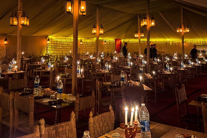 The Agafay Desert: Quad, Camels, Pool, Dinner and Show - Traveler Reviews and Recommendations