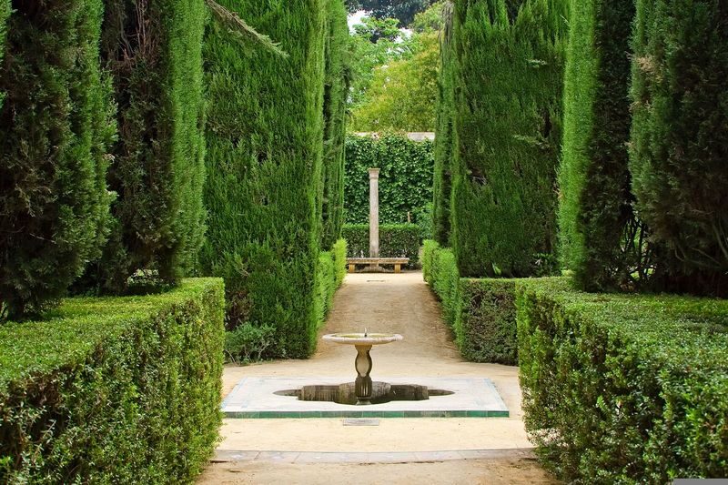 The Alcazar of Seville Guided Tour - Is the price worth it?