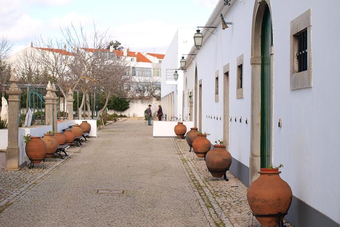 The Algarve: The Culture and Cuisine of Barrocal Full-Day Tour  - Portimao - Tour Highlights
