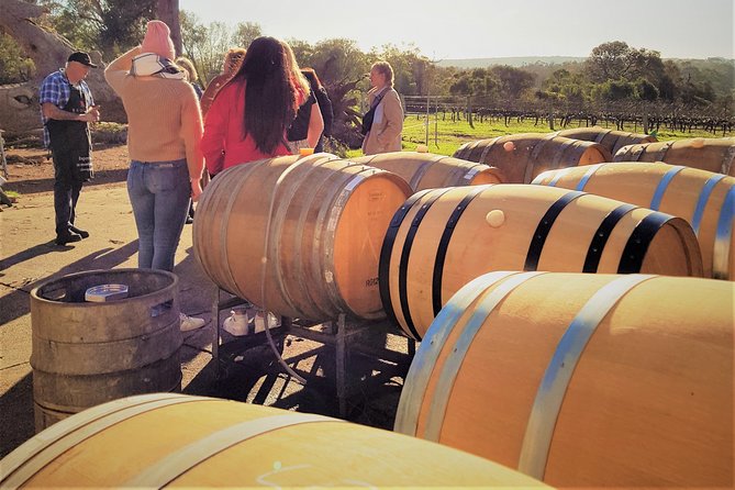 The All About Margaret River Tour: Wine, Coffee, Lunch and Forest - Wine Tasting Experience