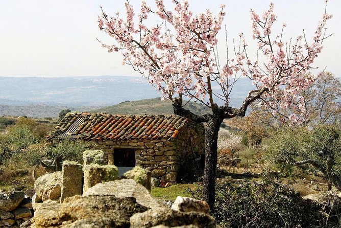 The Almond Blossom - Tour Details for The Almond Blossom