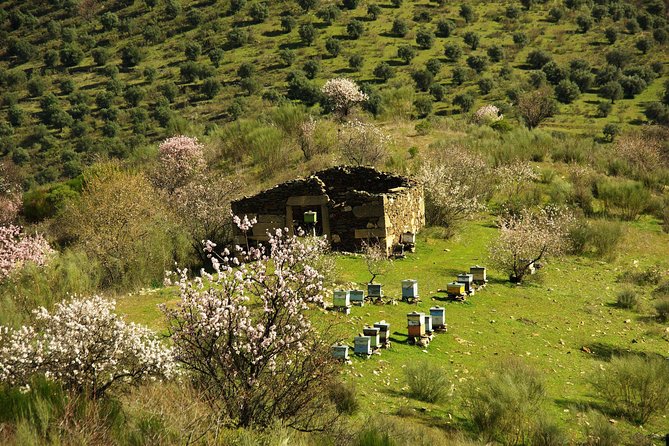 The Almond Blossom - Cancellation Policy for The Almond Blossom
