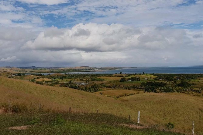 The Amazing Highlights of Nadi and Veseisei ( Private Tour ) - Authentic Reviews and Ratings