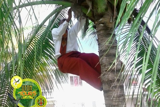 The AMAZING Montego Bay Tour - Tour Details