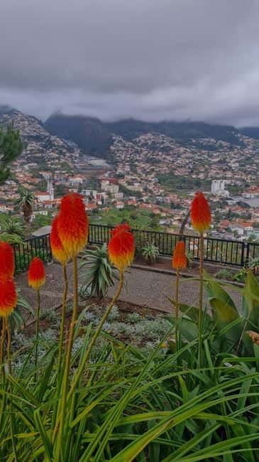 THE AMAZING OFF ROAD BBQ PICNIC CABLE CAB TOUR - Exploring the Madeira Landscape in a Rugged Jeep
